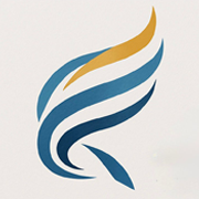 Serviços NETSUI Capital