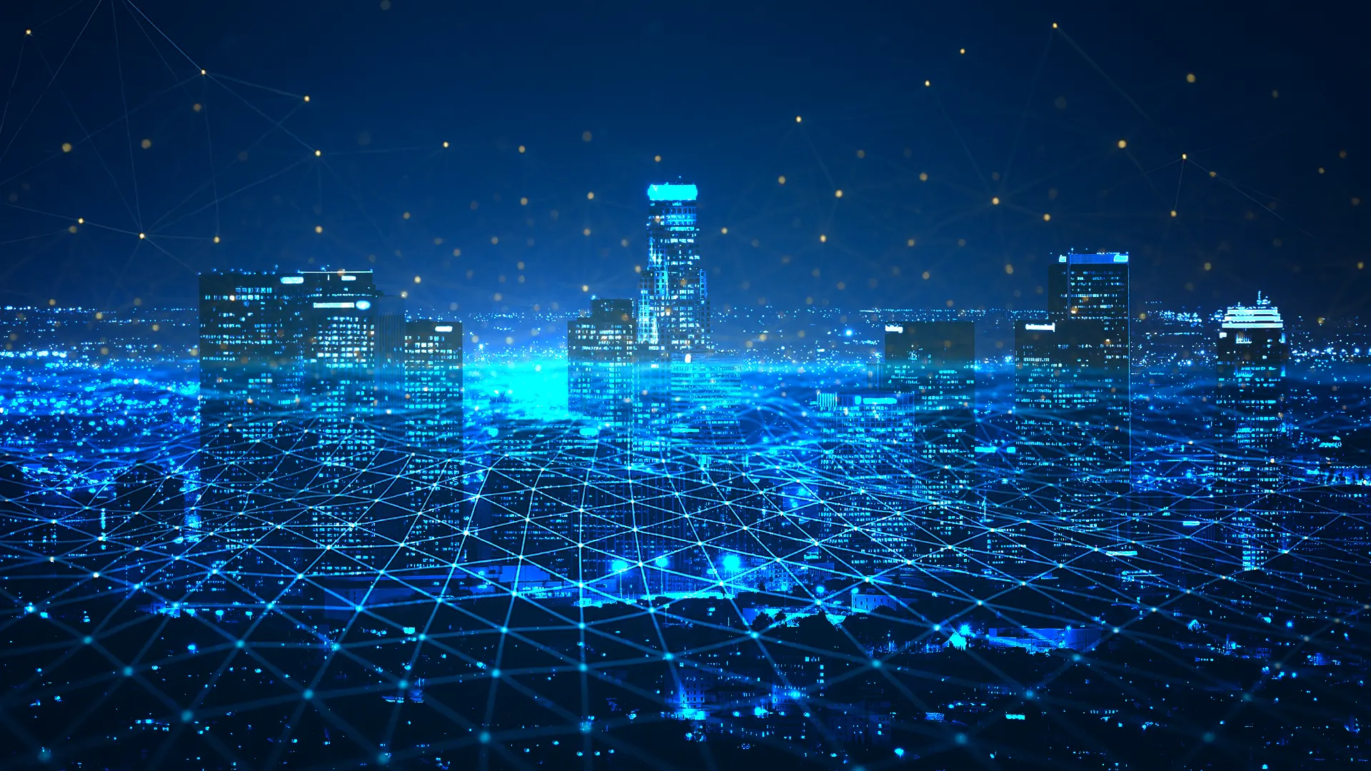 Netsui Capital Banner